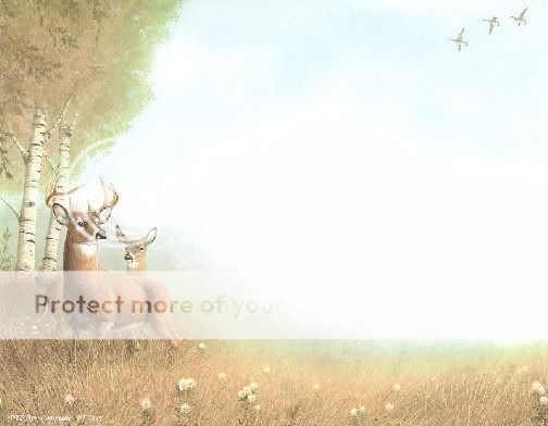 Deers   Buck and Doe Personalized Name Background Print  