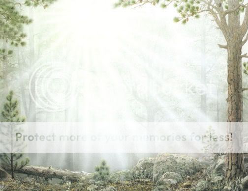 Enchanted Forest Personalized Name Background  