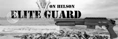 The Von Helson Elite Guard banner