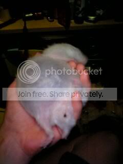 picture571.jpg