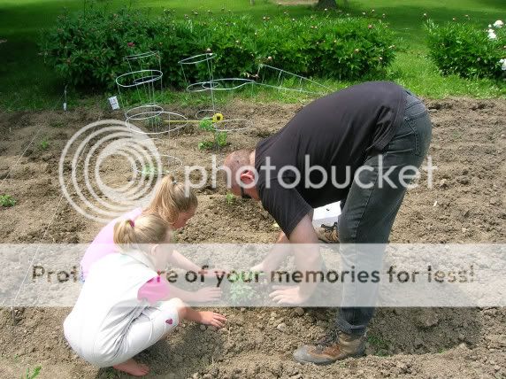 http://i20.photobucket.com/albums/b236/Scrappitydoodah/Gardening/plantingtomatoes.jpg