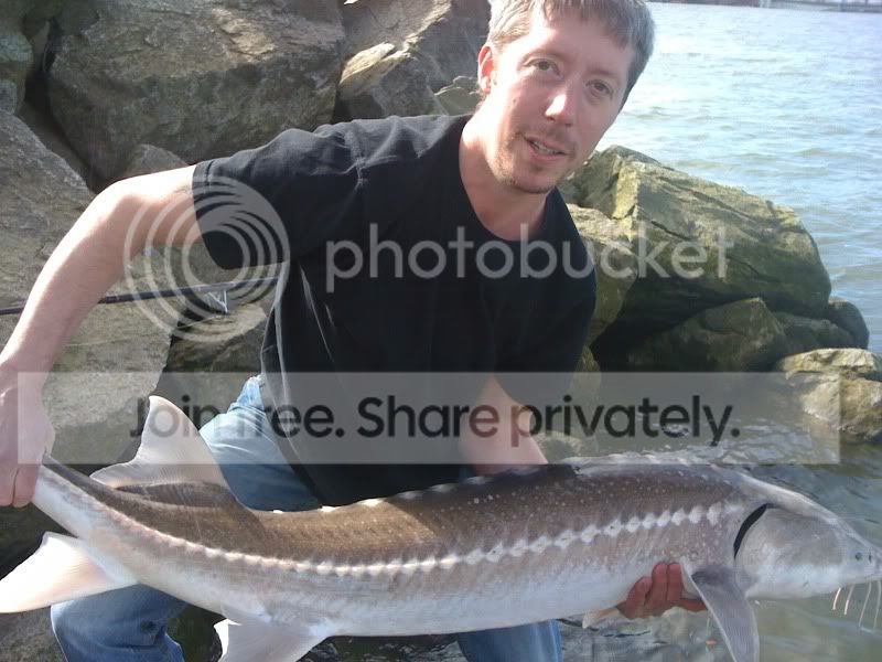 Sturgeon fishing | Aluminum Boat & Jon/V Boat Discussion Forum