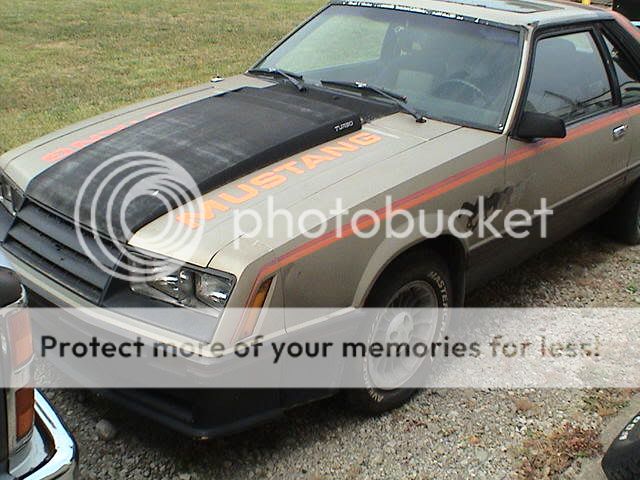 79 Ford mustang pace car #5