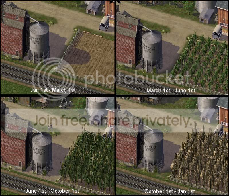 cimagecorn4season.jpg